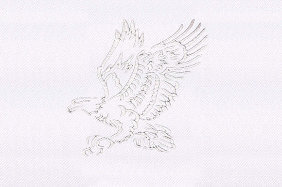 Silhouette Eagle Design Review